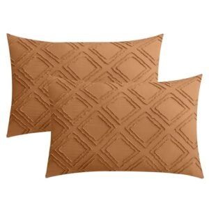 JELLYMONI 2 Pack Rust Pillowcases Standard Size