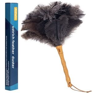 Aldwin Ostrich Feather Duster